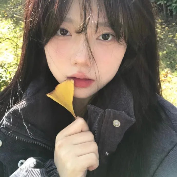 外壳